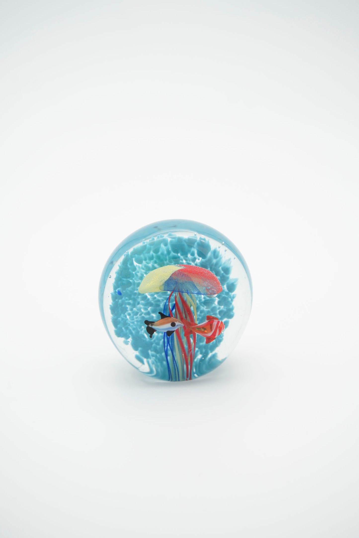 Acquario bolla e meduse