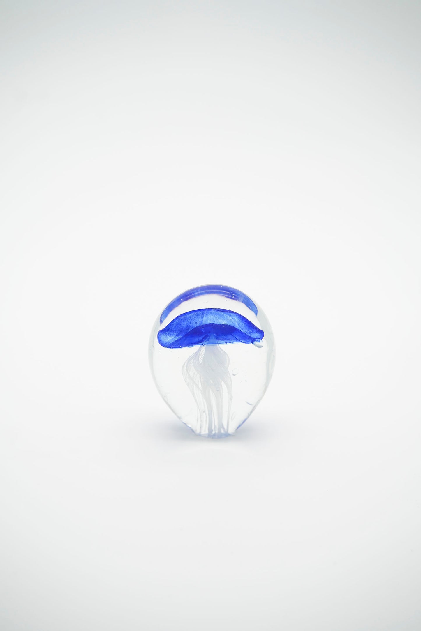 Acquario mini bolla con medusa