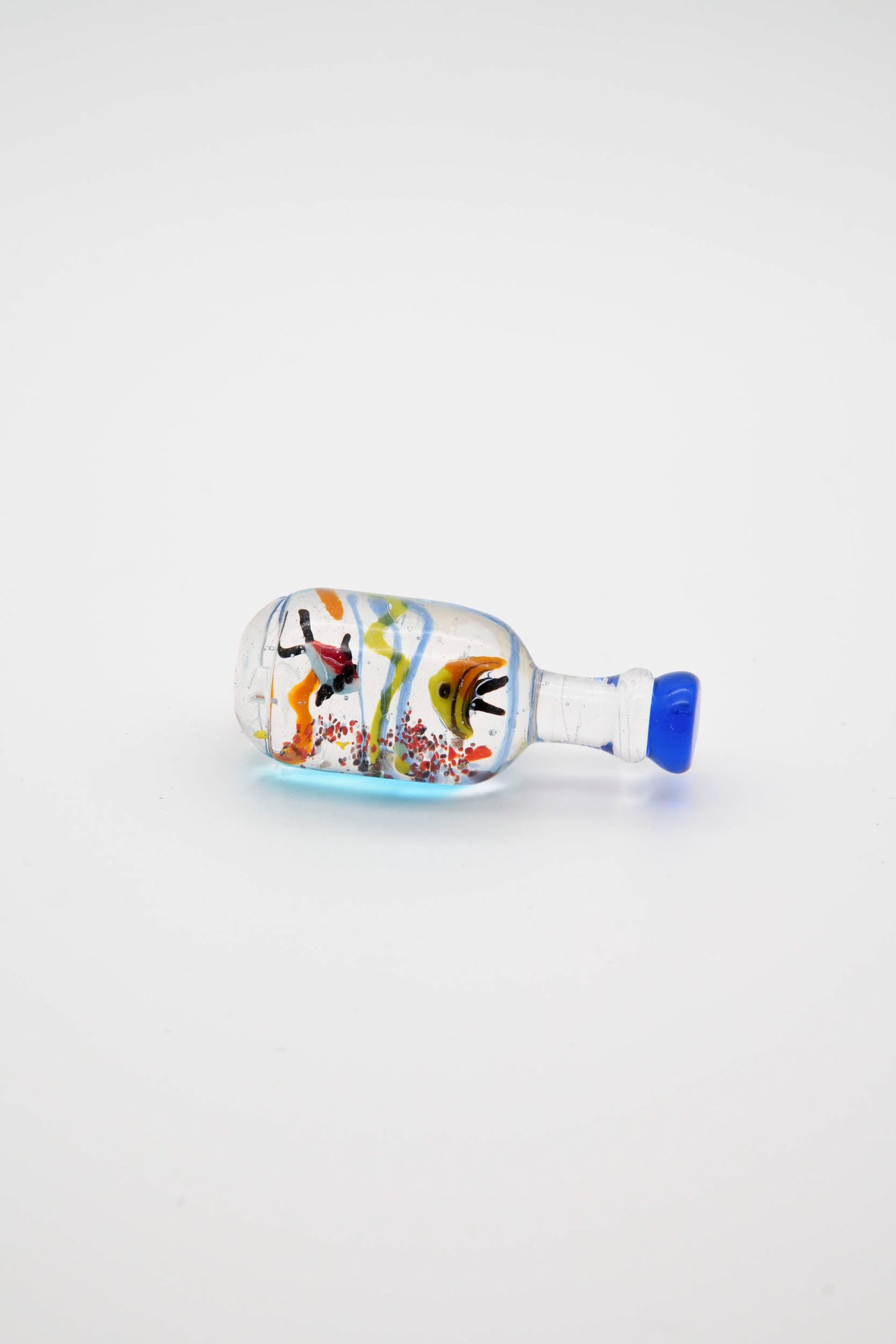 Acquario mini in bottiglia