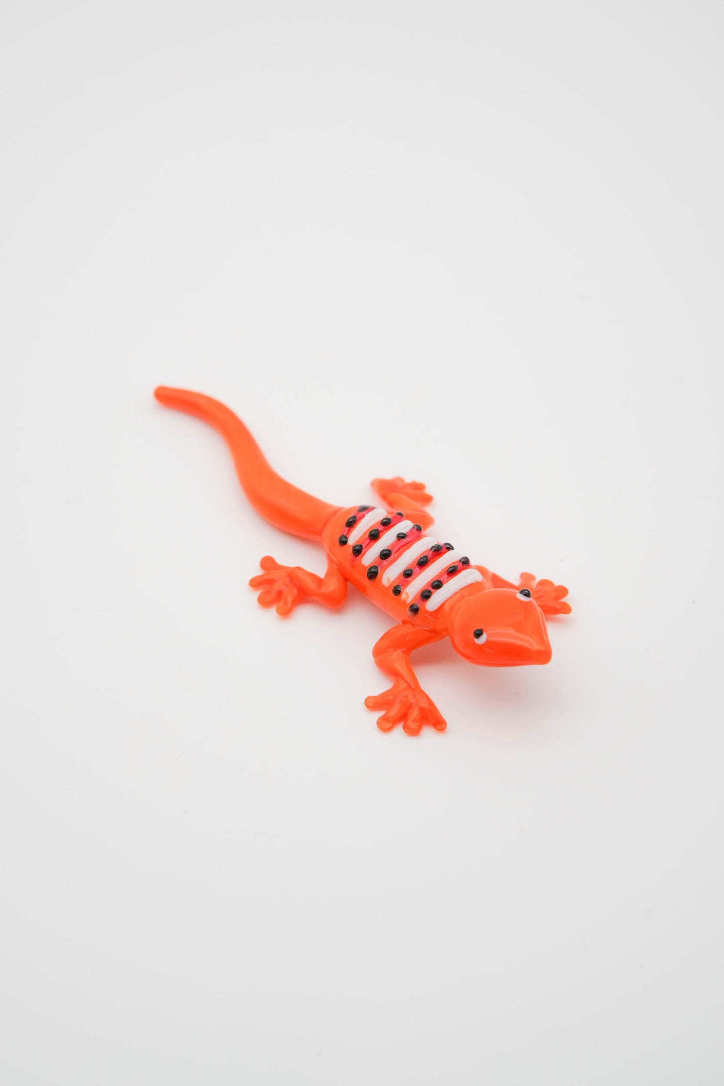 salamandra