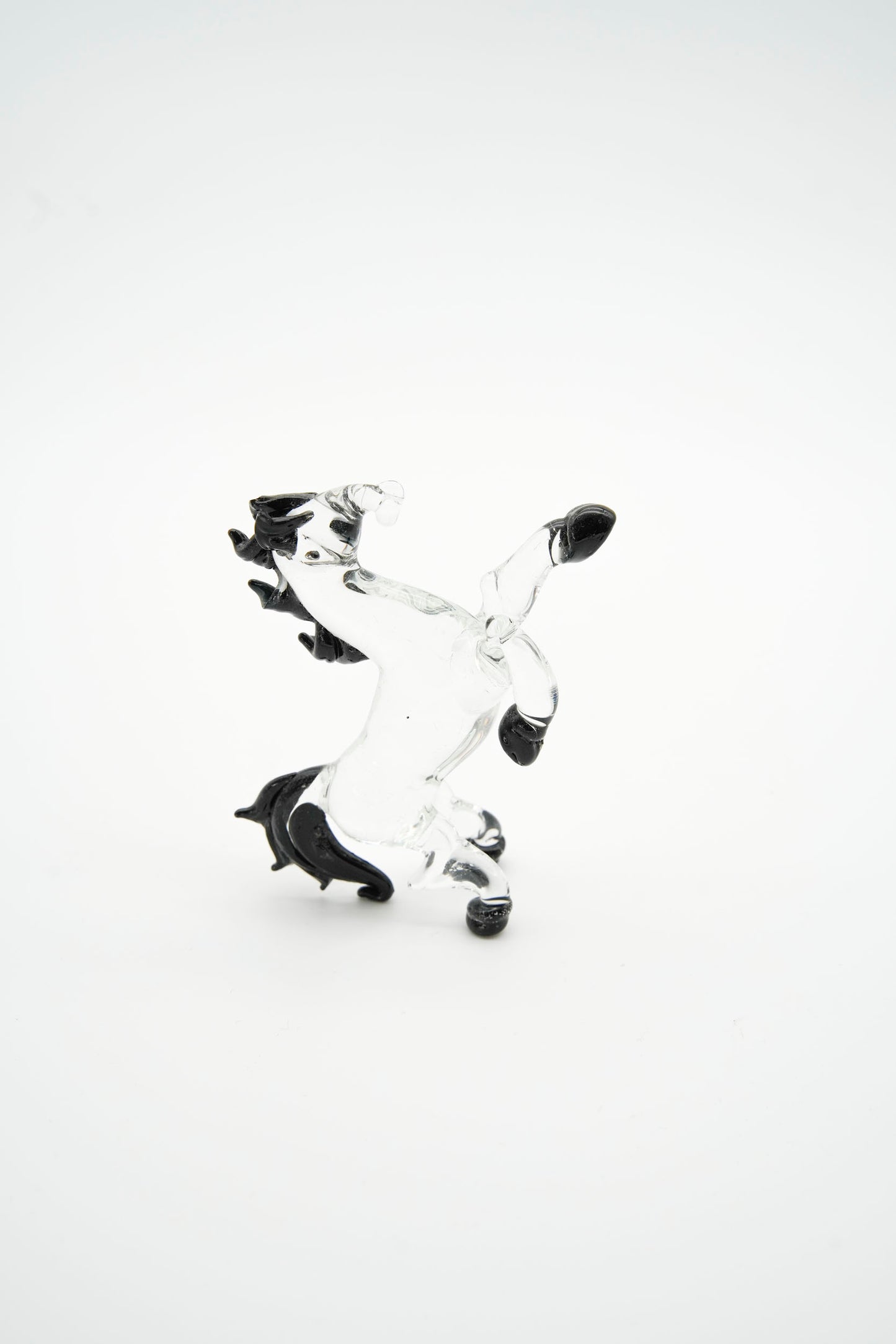 Cavallo