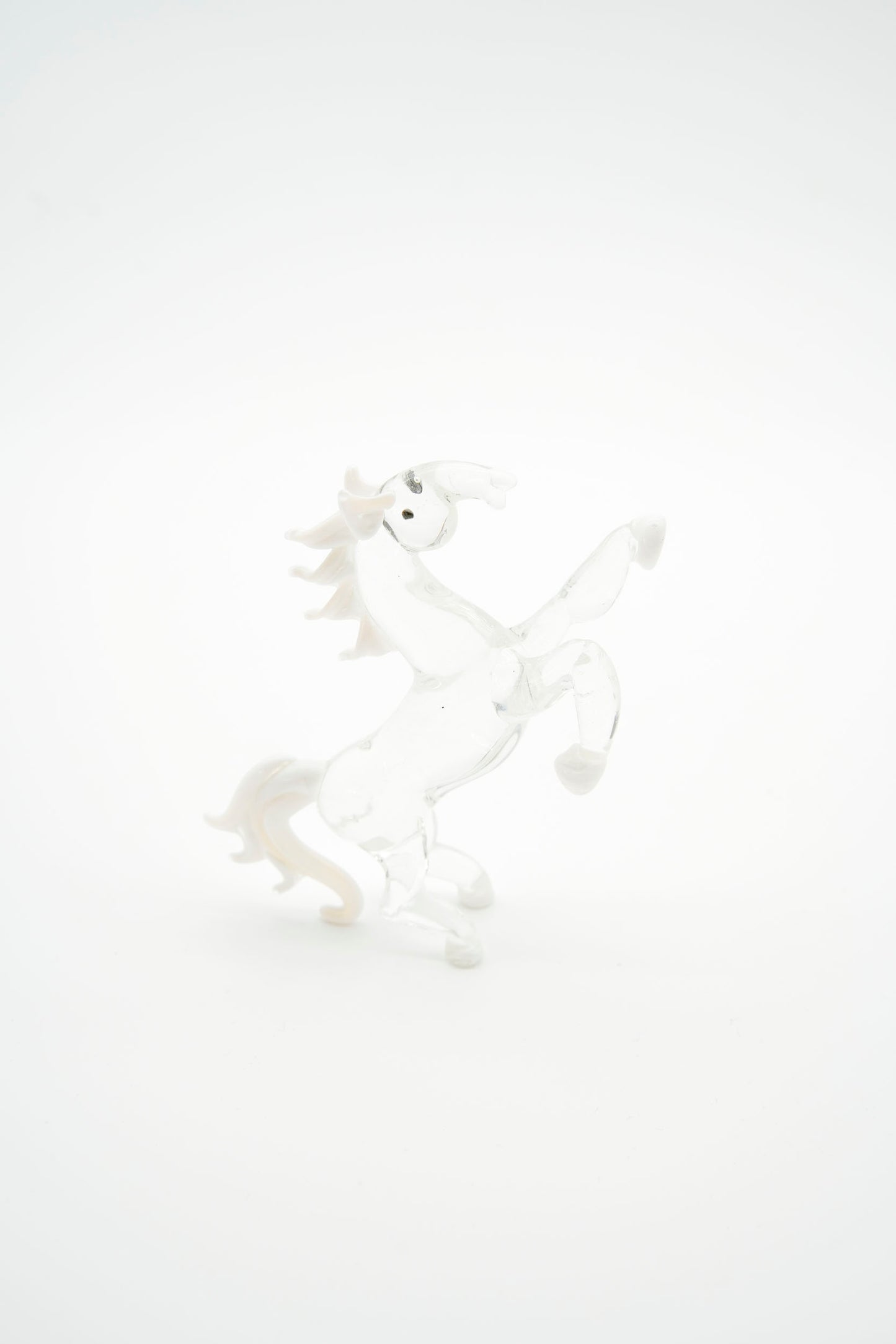 Cavallo