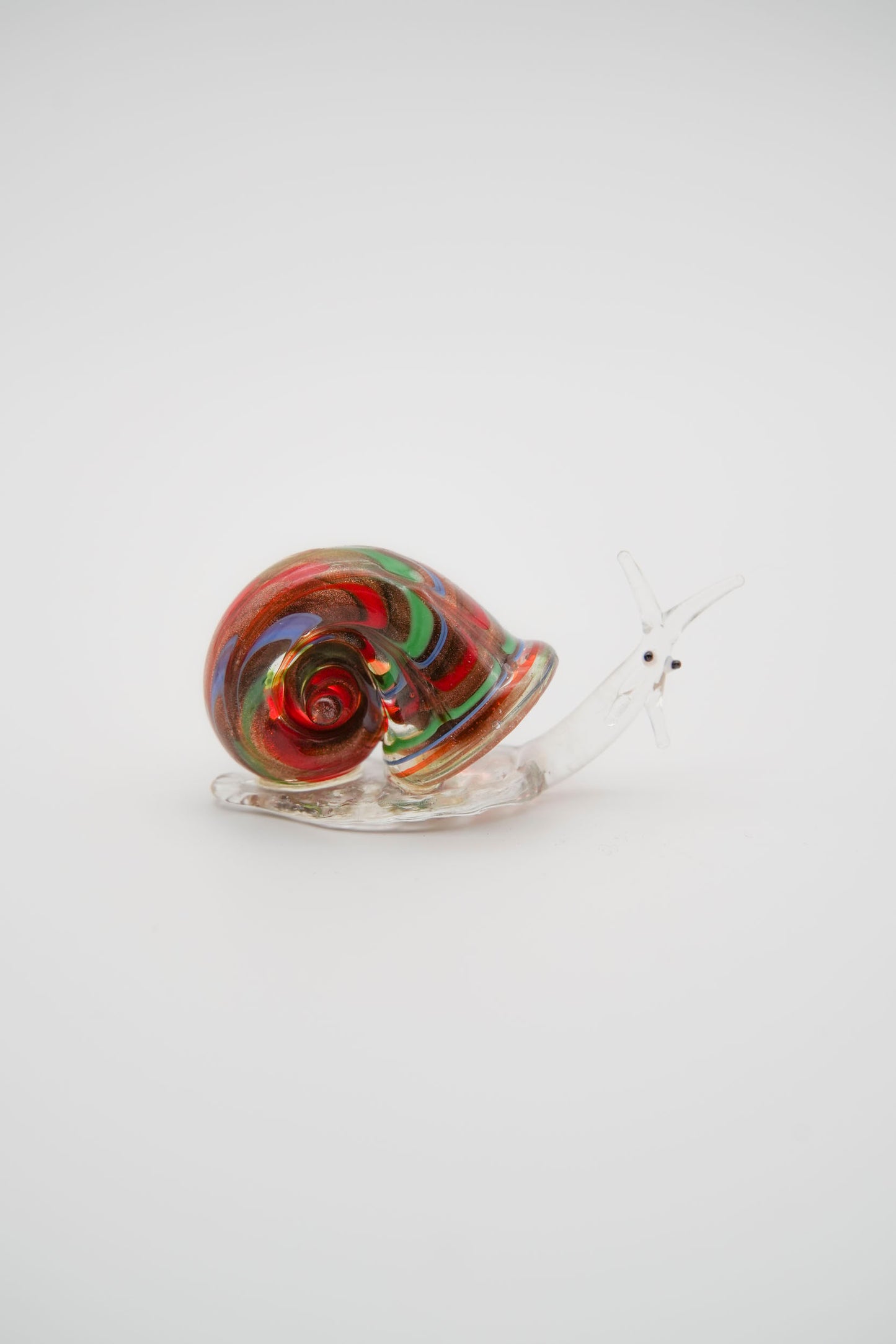 Lumaca Iridescente