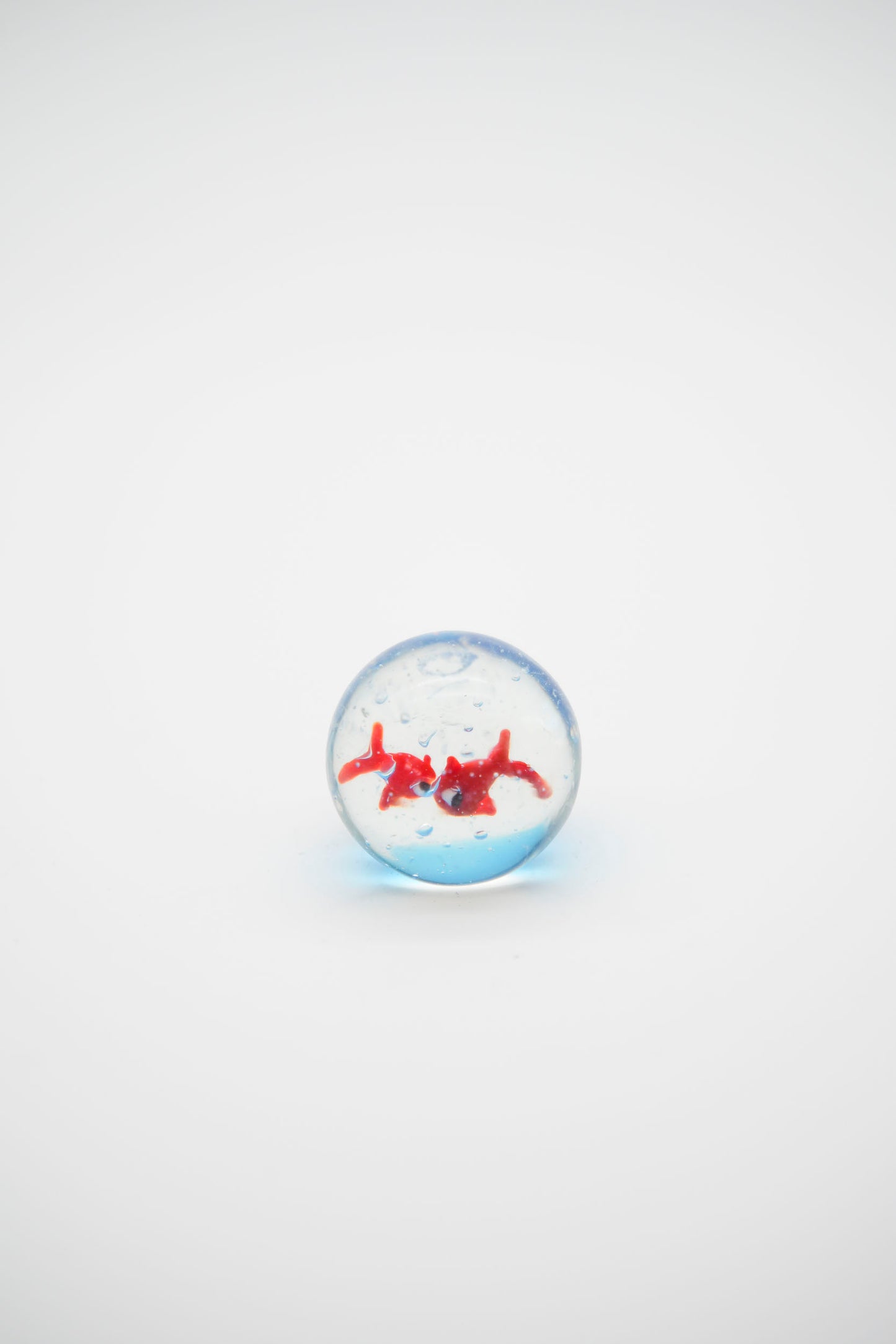 Acquario mini ampolla