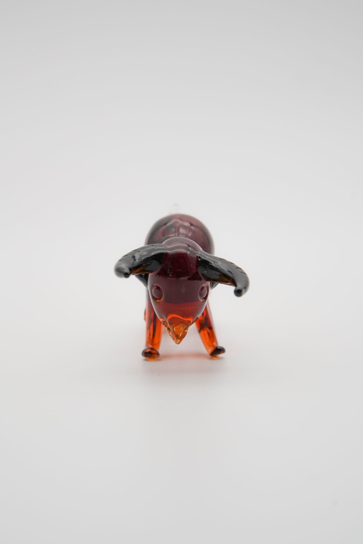 Toro