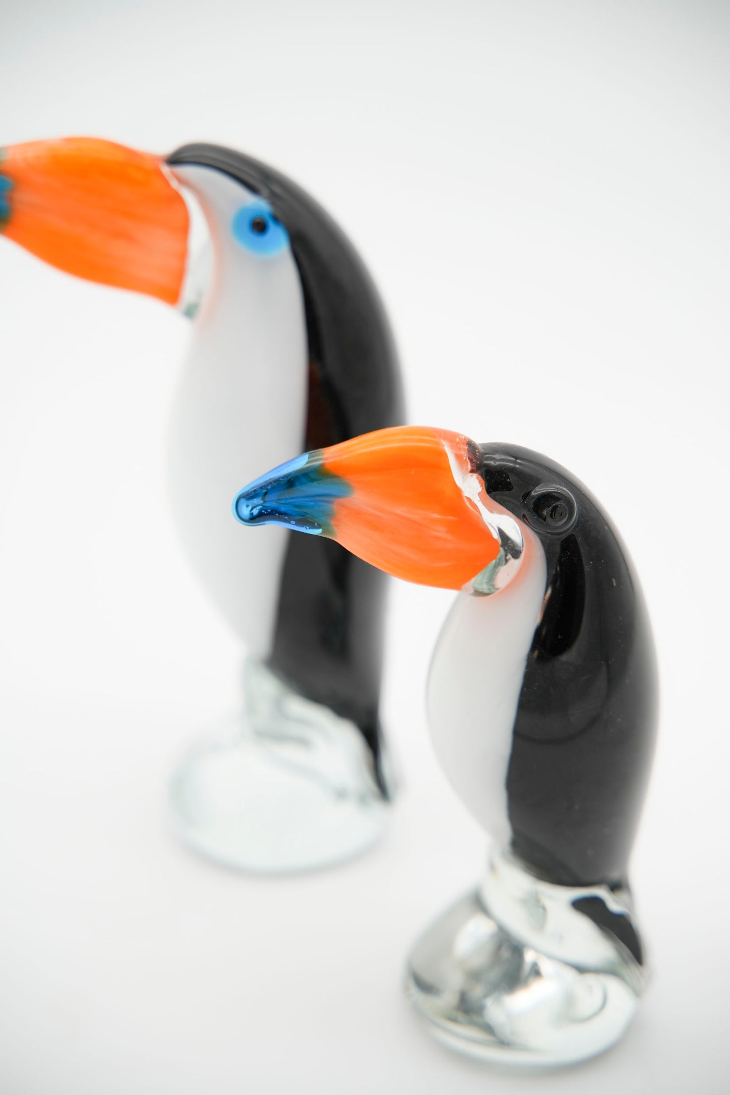 Tucano