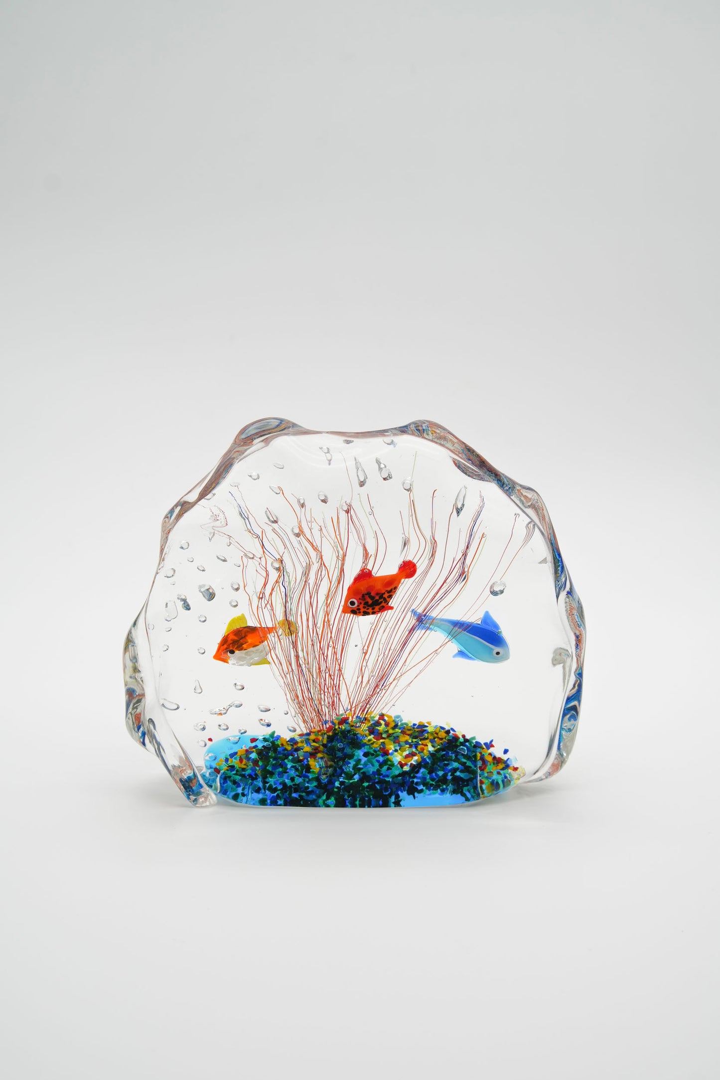 Large aquarium