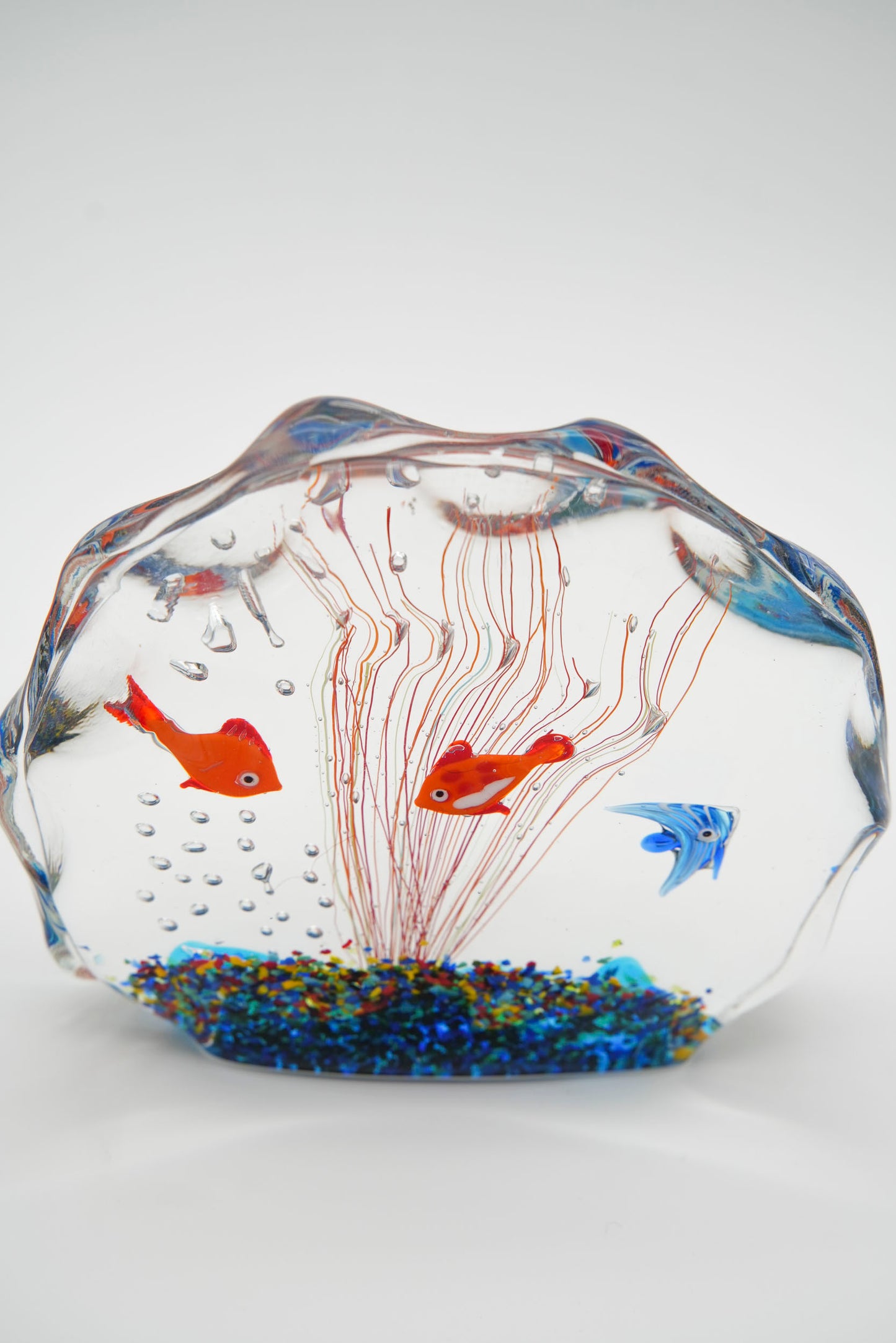 Large aquarium
