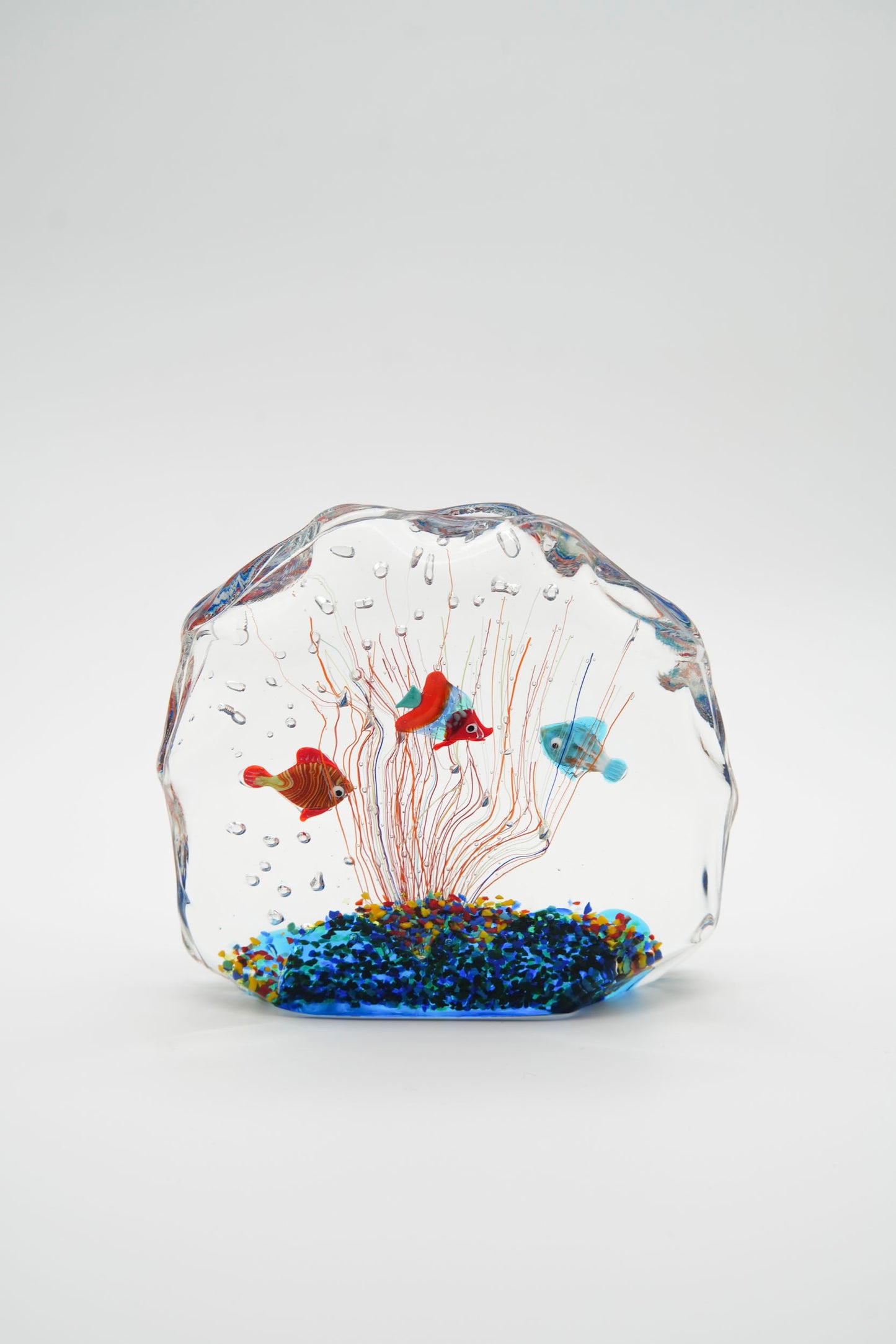 Large aquarium