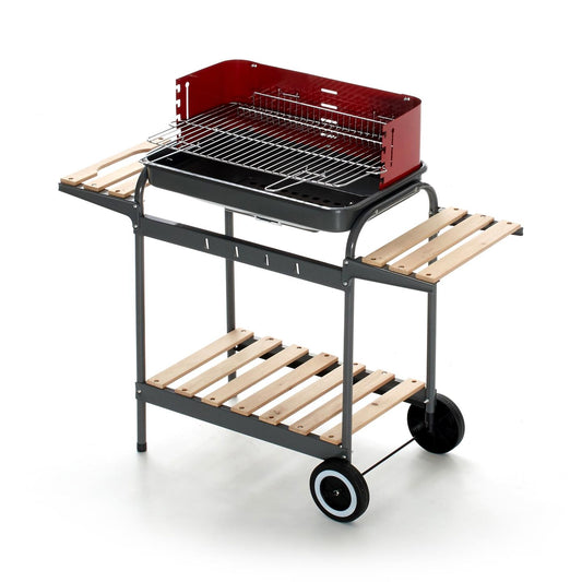 Barbecue Qbo Carbonella 100