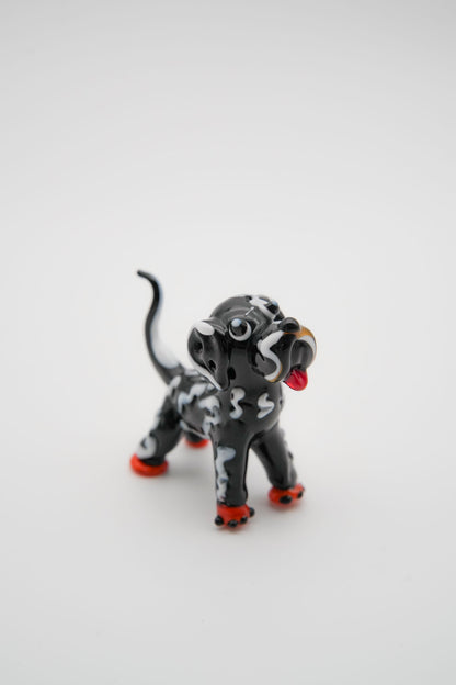 Cagnolino maculato