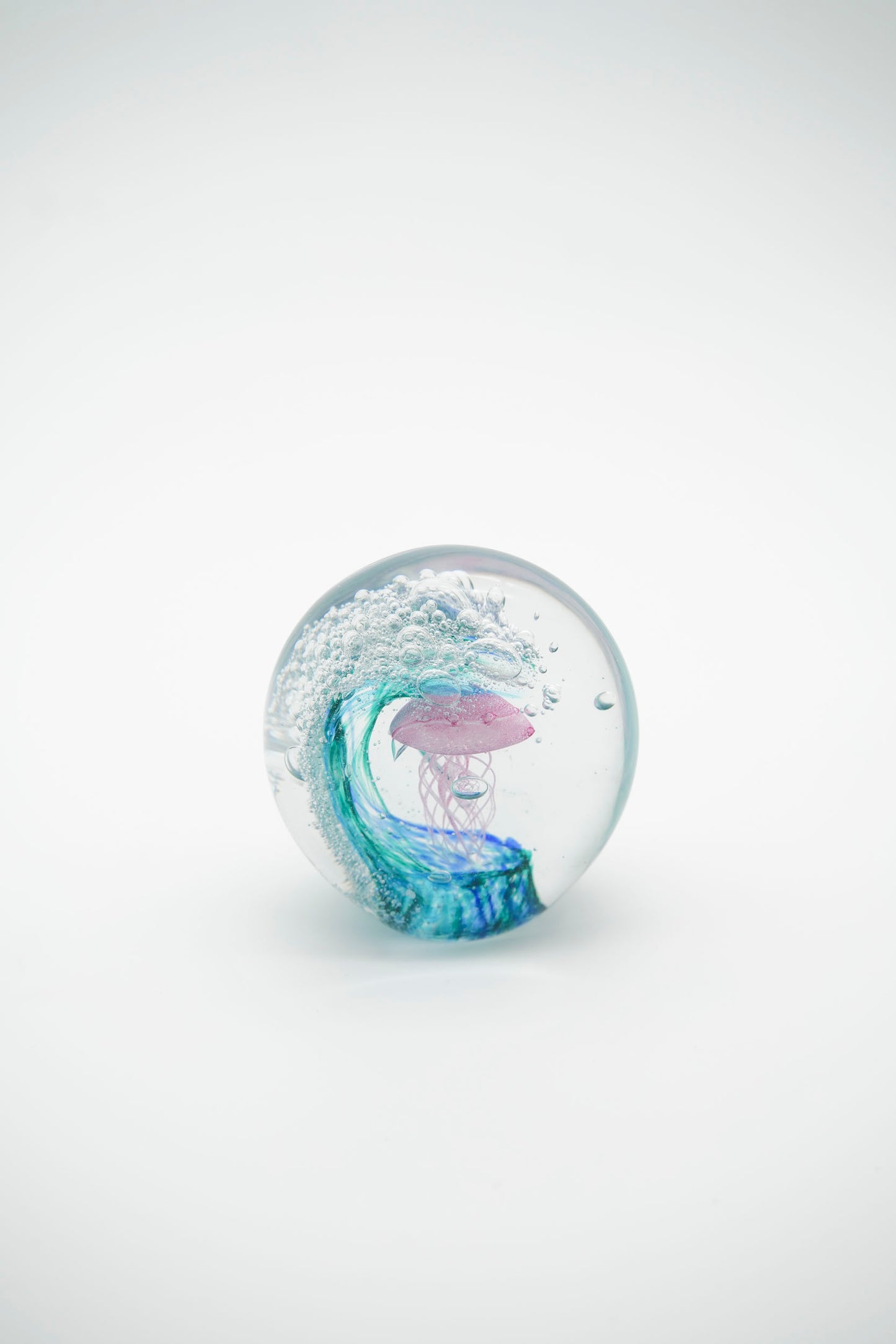 Acquario bolla e meduse