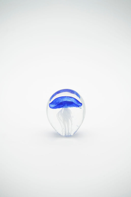 Acquario mini bolla con medusa