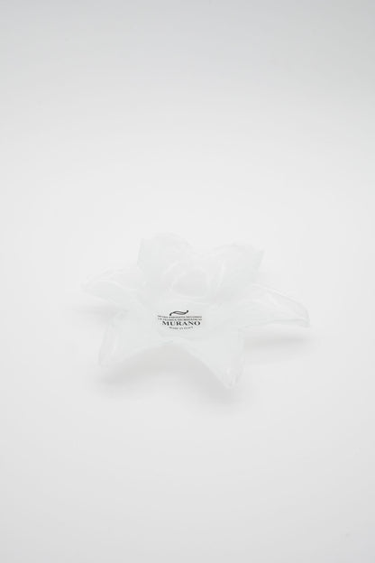 Posa cenere - Stella