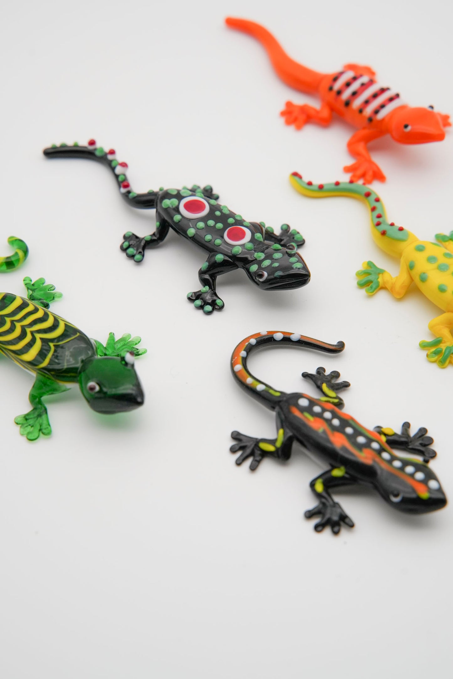 salamandra
