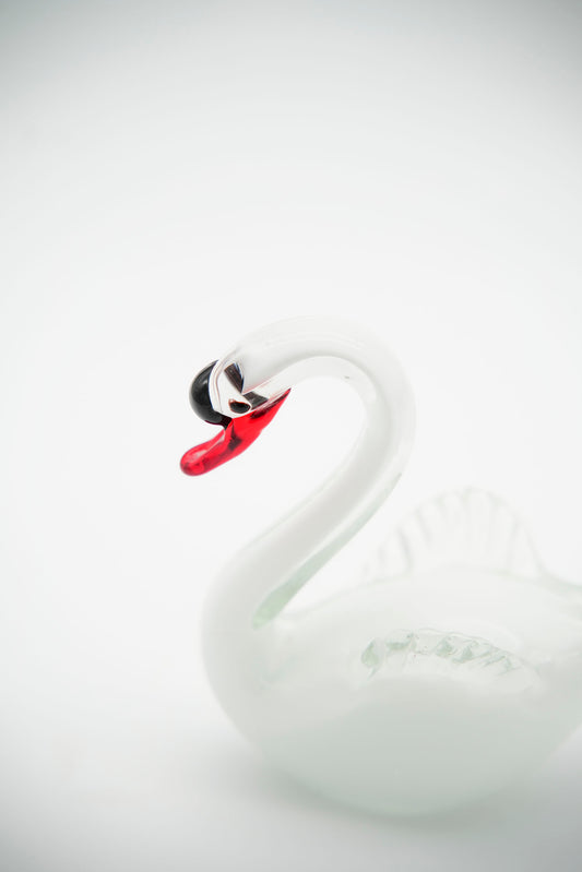 Cigno