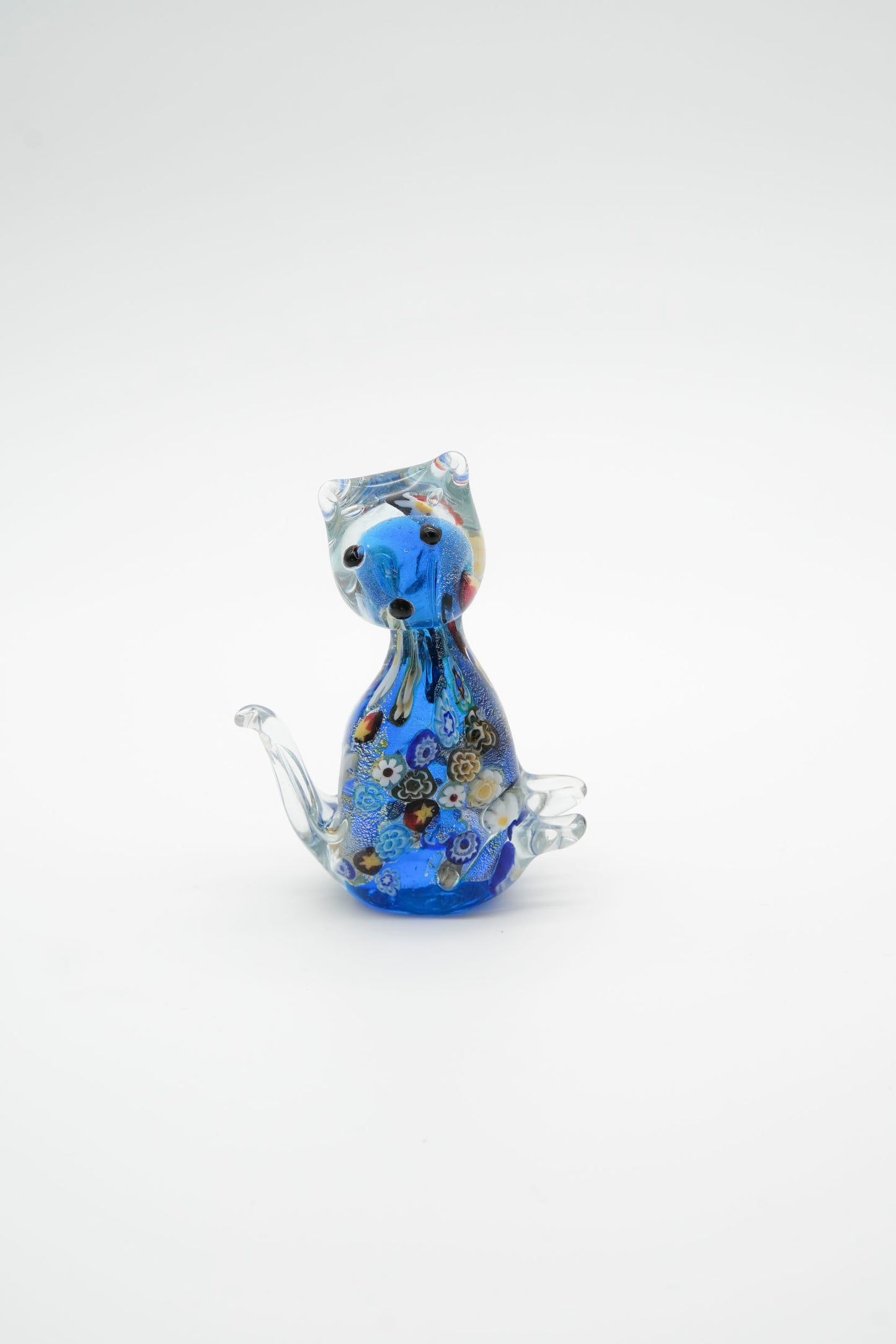 Gatto Multicolor