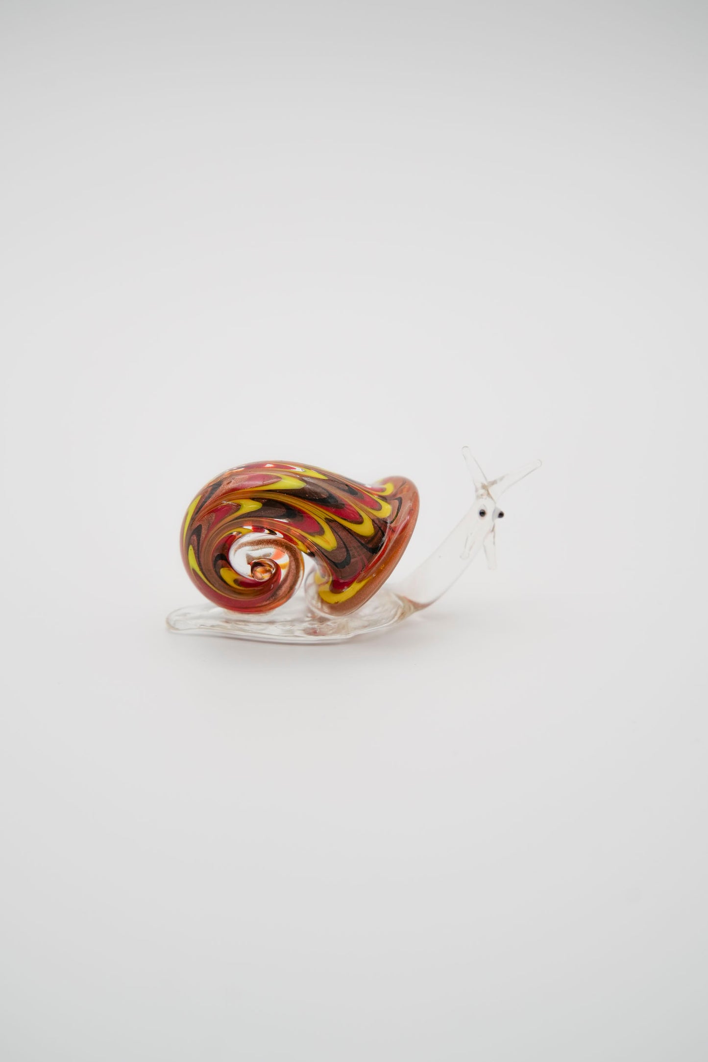 Lumaca Iridescente