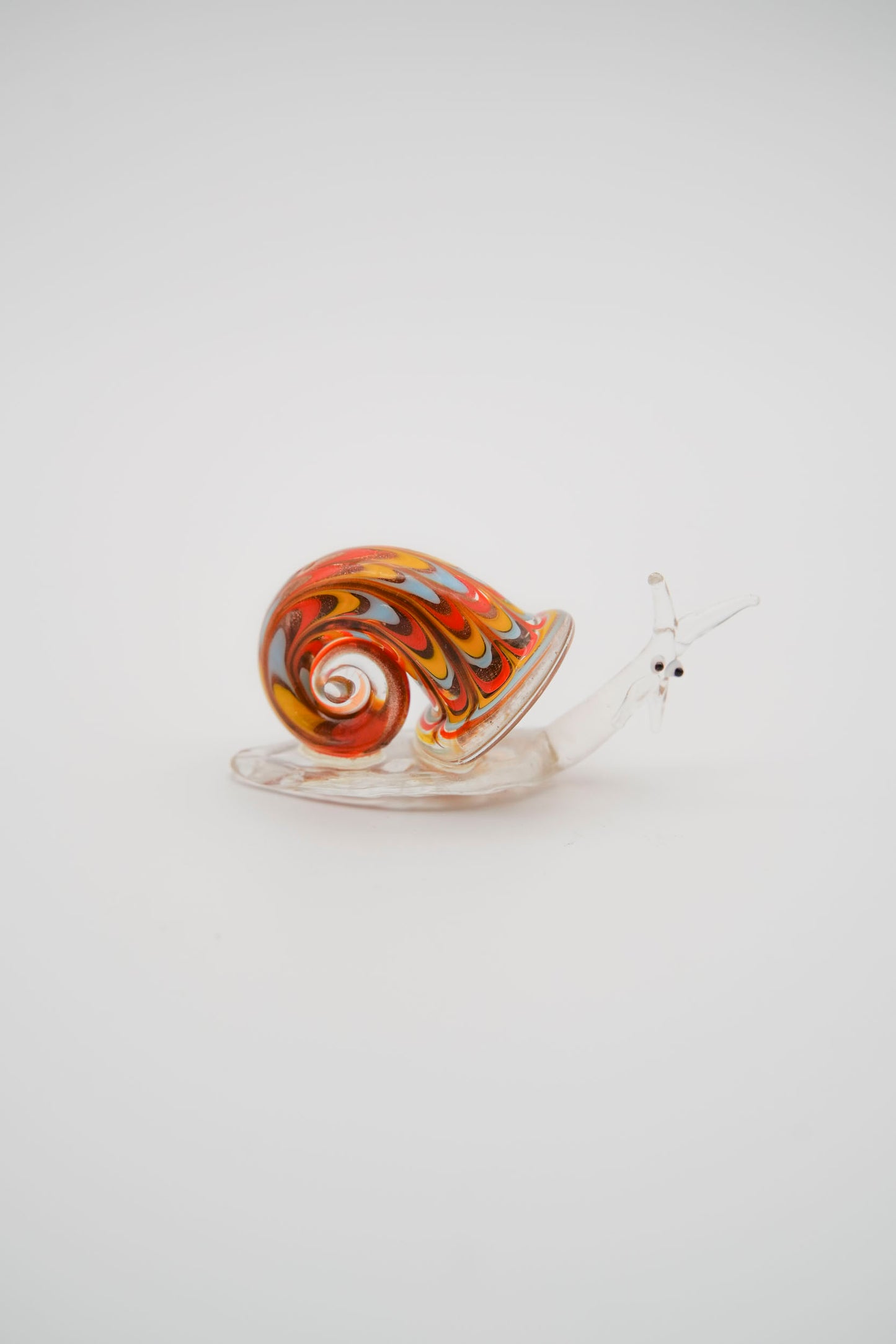 Lumaca Iridescente