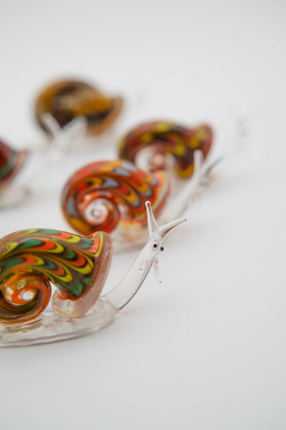 Lumaca Iridescente