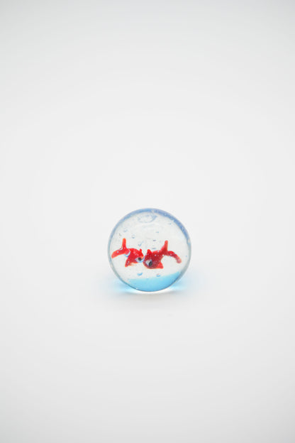 Acquario mini ampolla