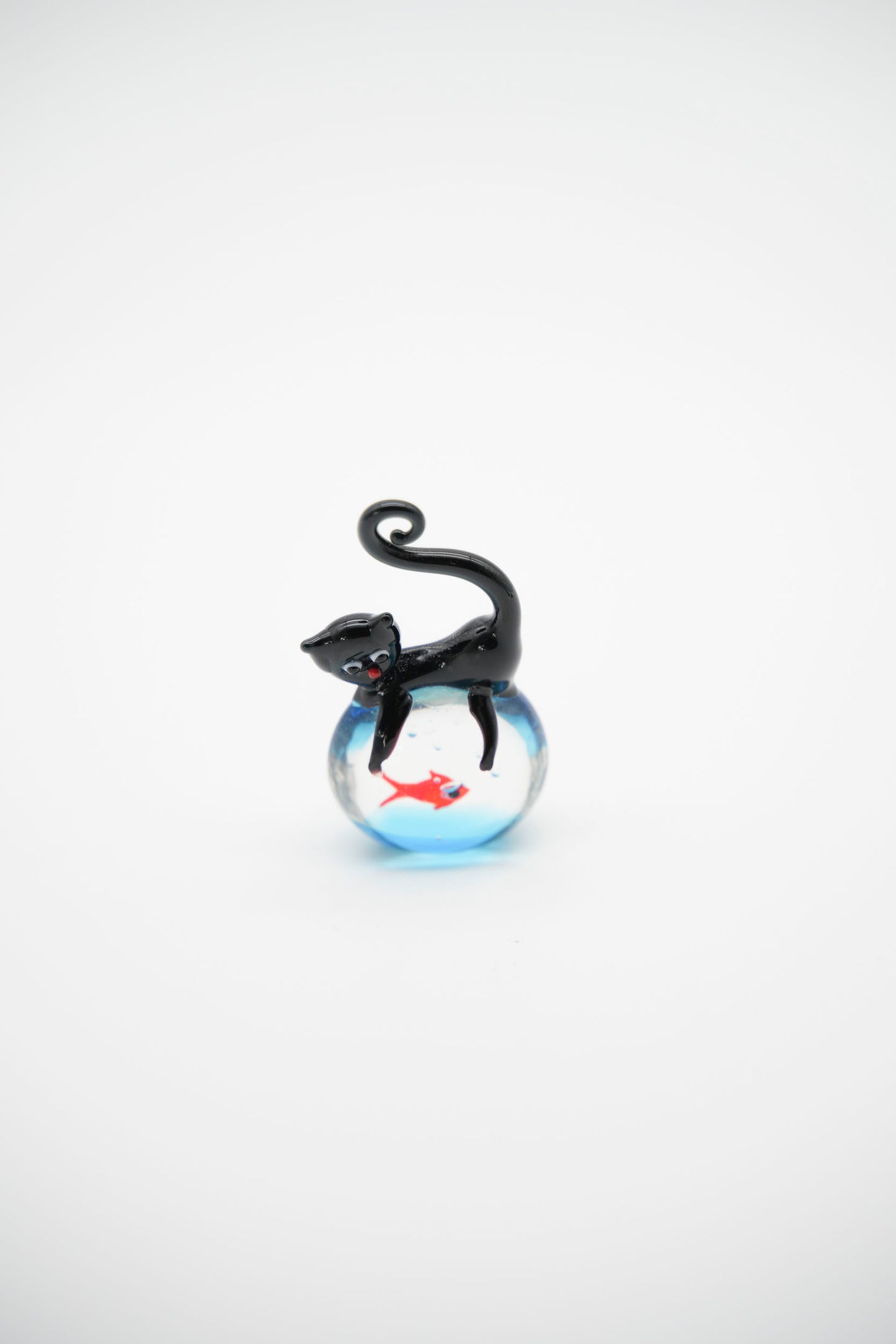 Acquario gatto in guardia