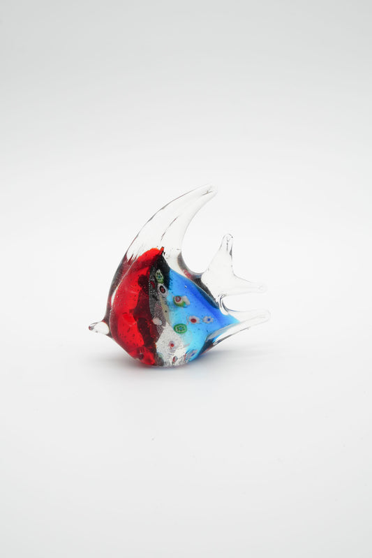 Pesce San Pietro Multicolor