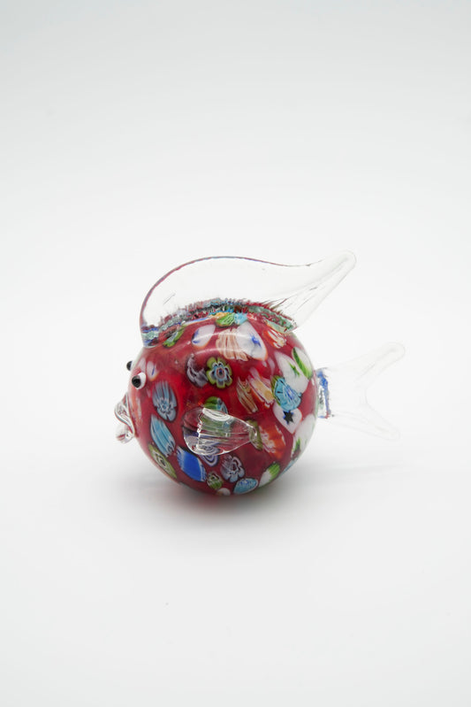 Pesce palla Multicolor