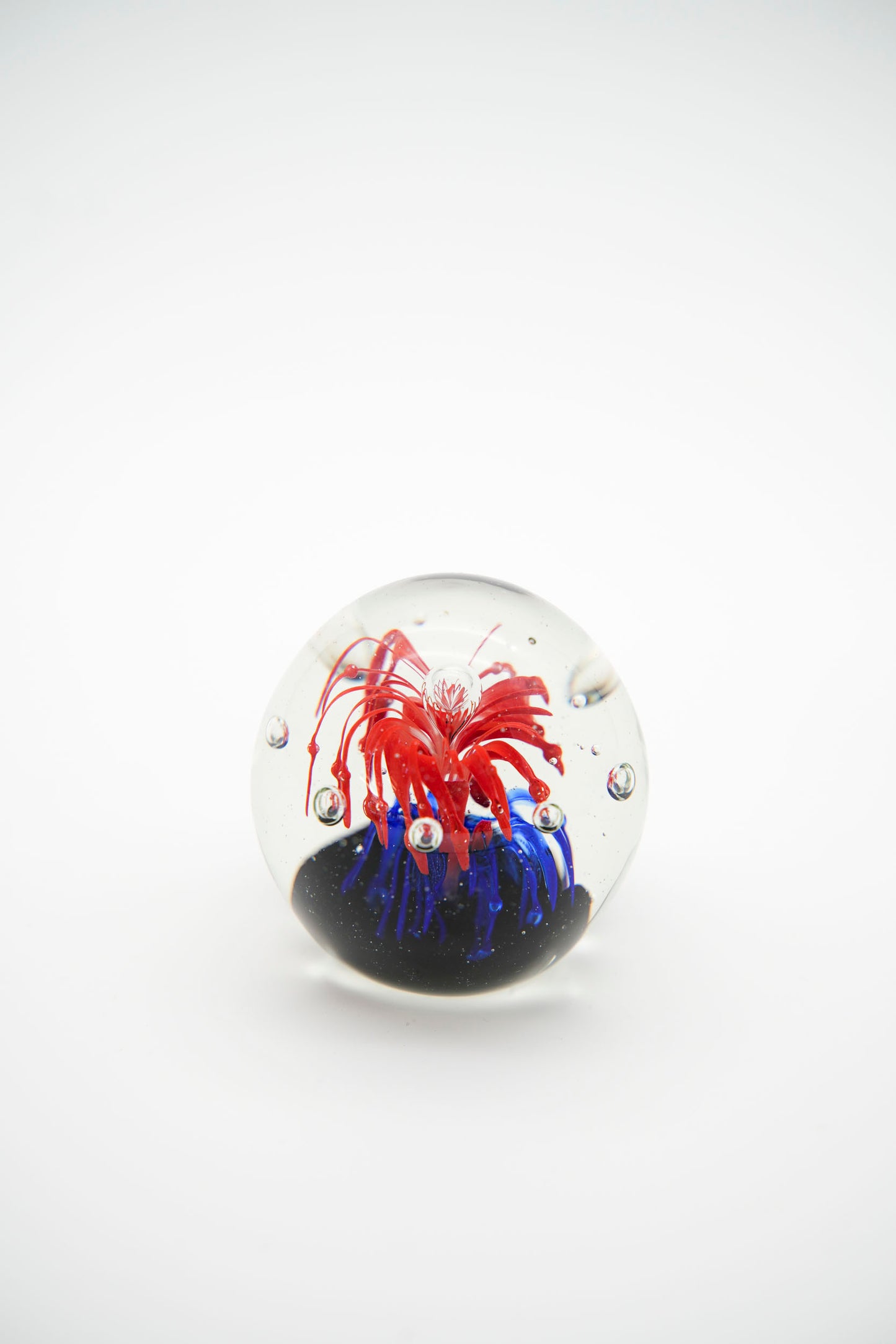 Aquarium Ball