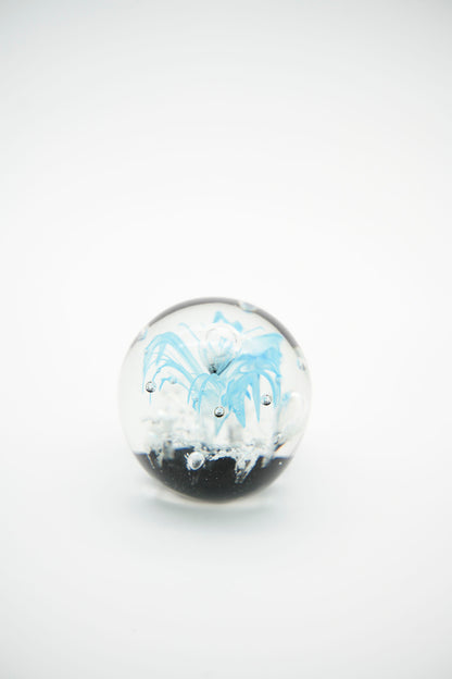 Aquarium Ball