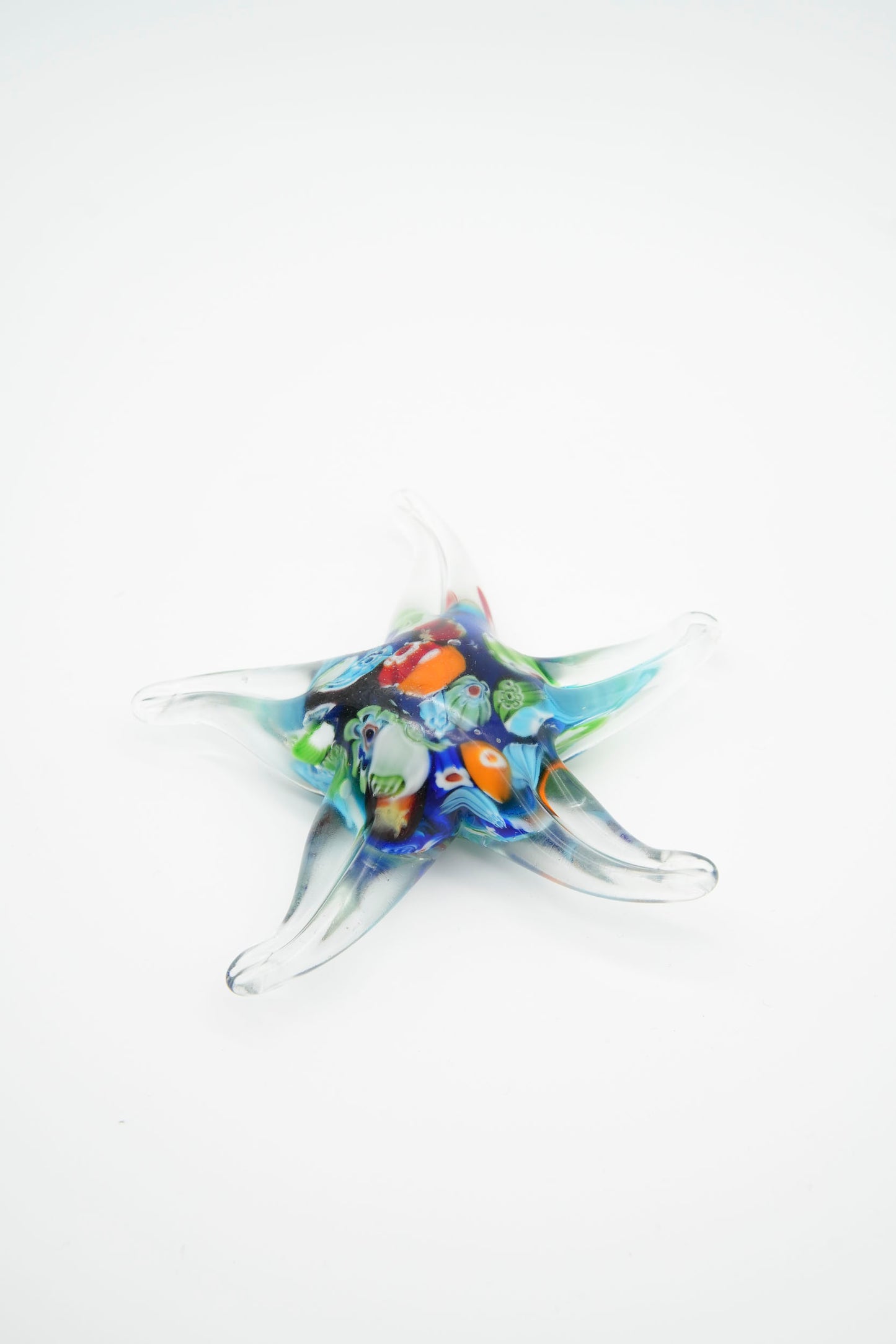Stella marina Multicolor