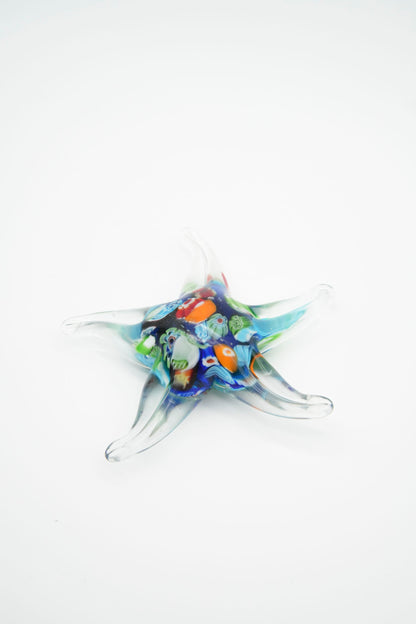 Stella marina Multicolor