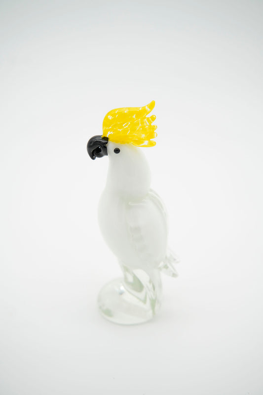 Pappagallo Cacatua
